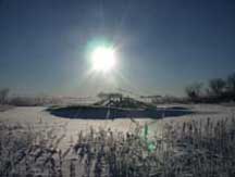 Winter morning
